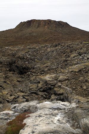 Sombero Chino, Galapagos 130.jpg